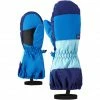 Buy 🎉 Ziener Liwi AS Minis Gloves Toddler persian blue ✔️ -Fleece Shop ziener liwi as minis gloves toddler persian blue 1